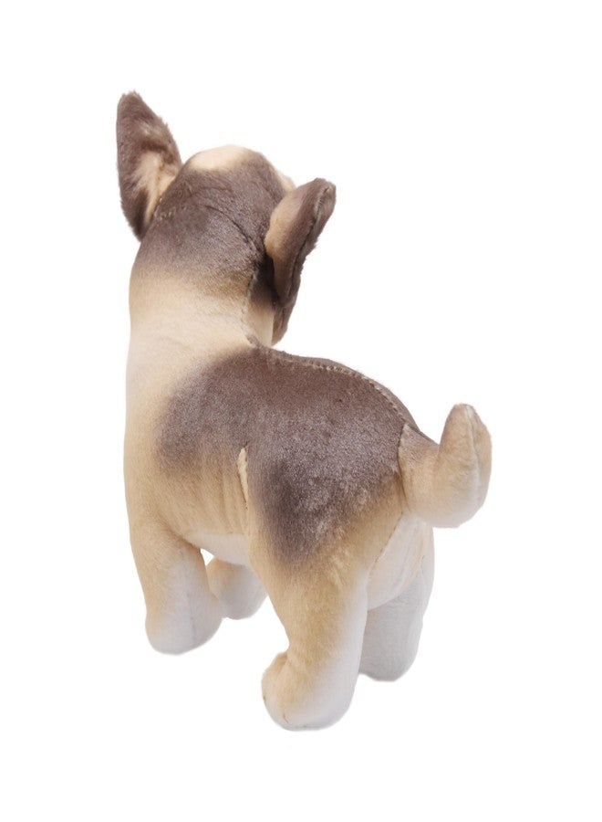 YONLIT Lifelike Chihuahua Stuffed Animal Animated Plush Puppy Toy Doll Super Realistic Dogs Act Like Real Excellent Gifts for Kids Birthday Party Dog Collection 9 Inches (Chihuahua) - Image 3